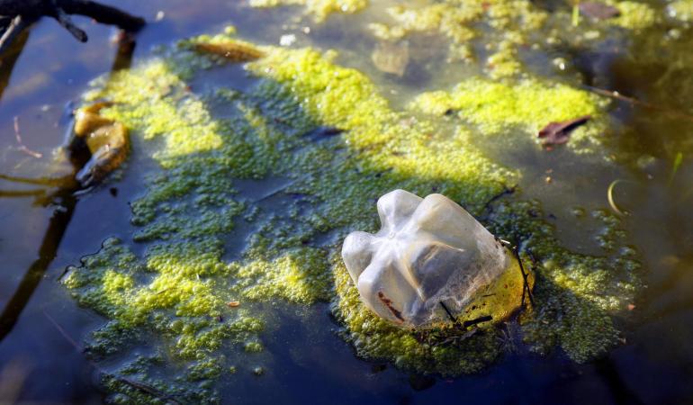 Water vervuild met alg en plastic